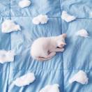 🌙 今晚はお月さん
