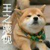 哈哈哈哈哈哈哈