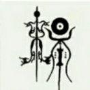 杨某