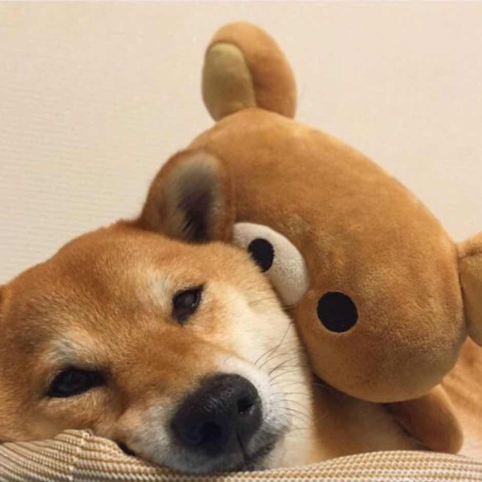 ㋃️️⃢⃢️️⃢⃢㏣