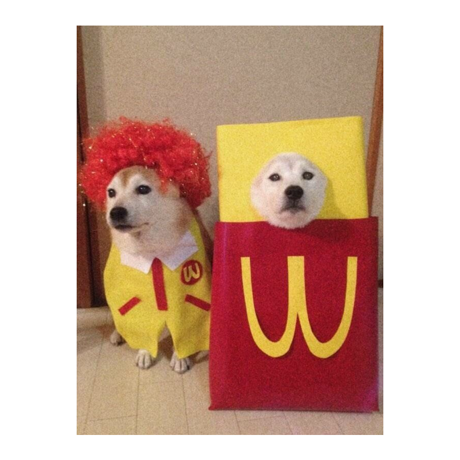 愁人