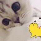 *泡*泡*