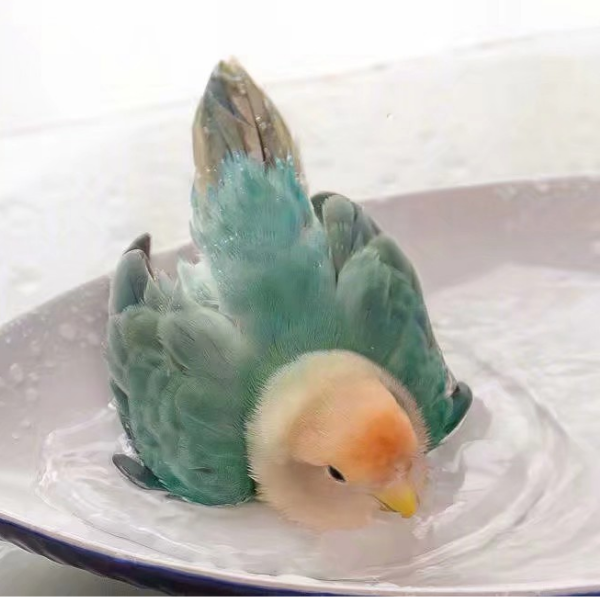 人潮擁擠。