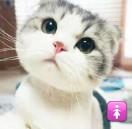 you r in my arm