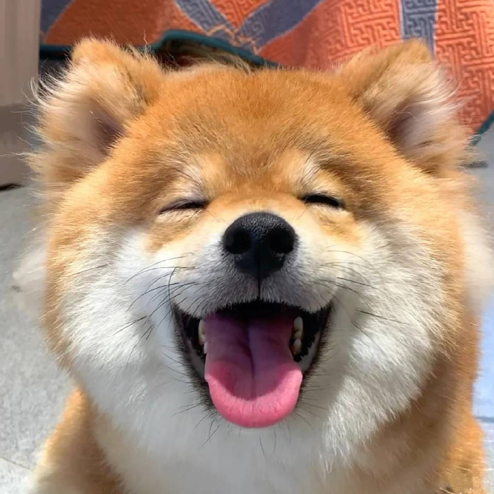 李思在