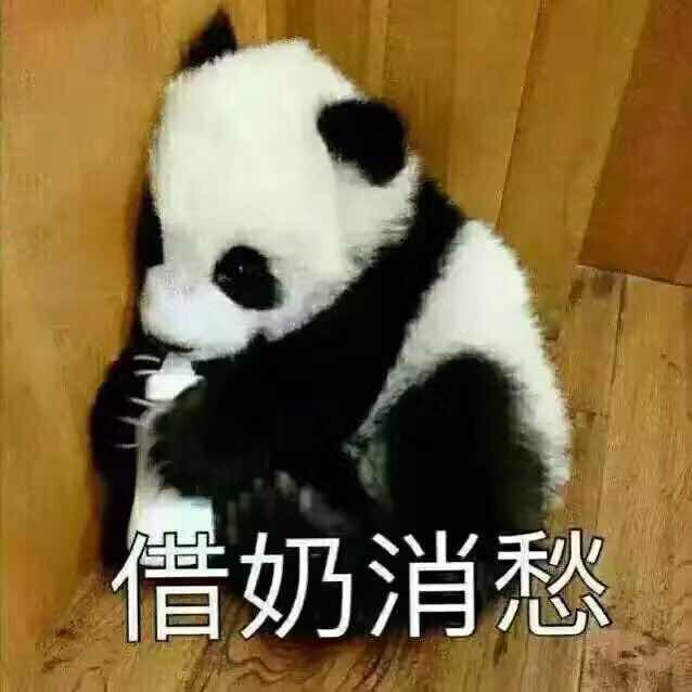 二小姐的刀