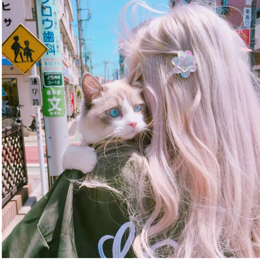 在路边捡星星.