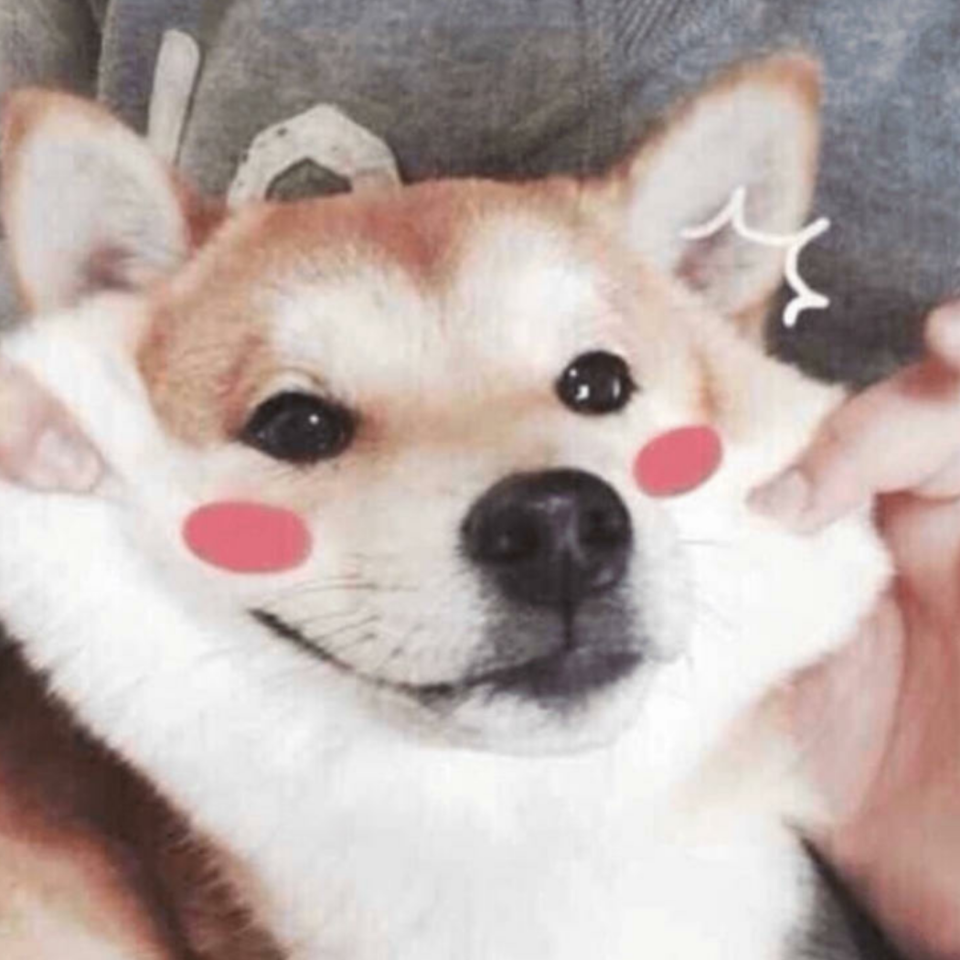 莫小见