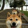不冷不热