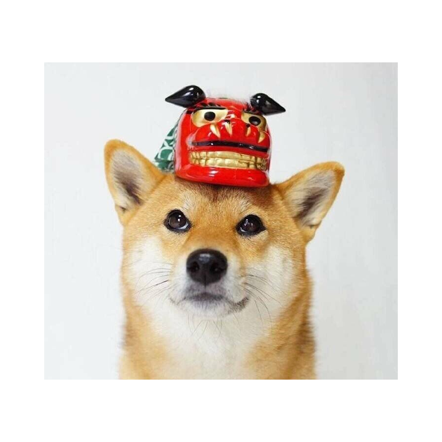 晖晖