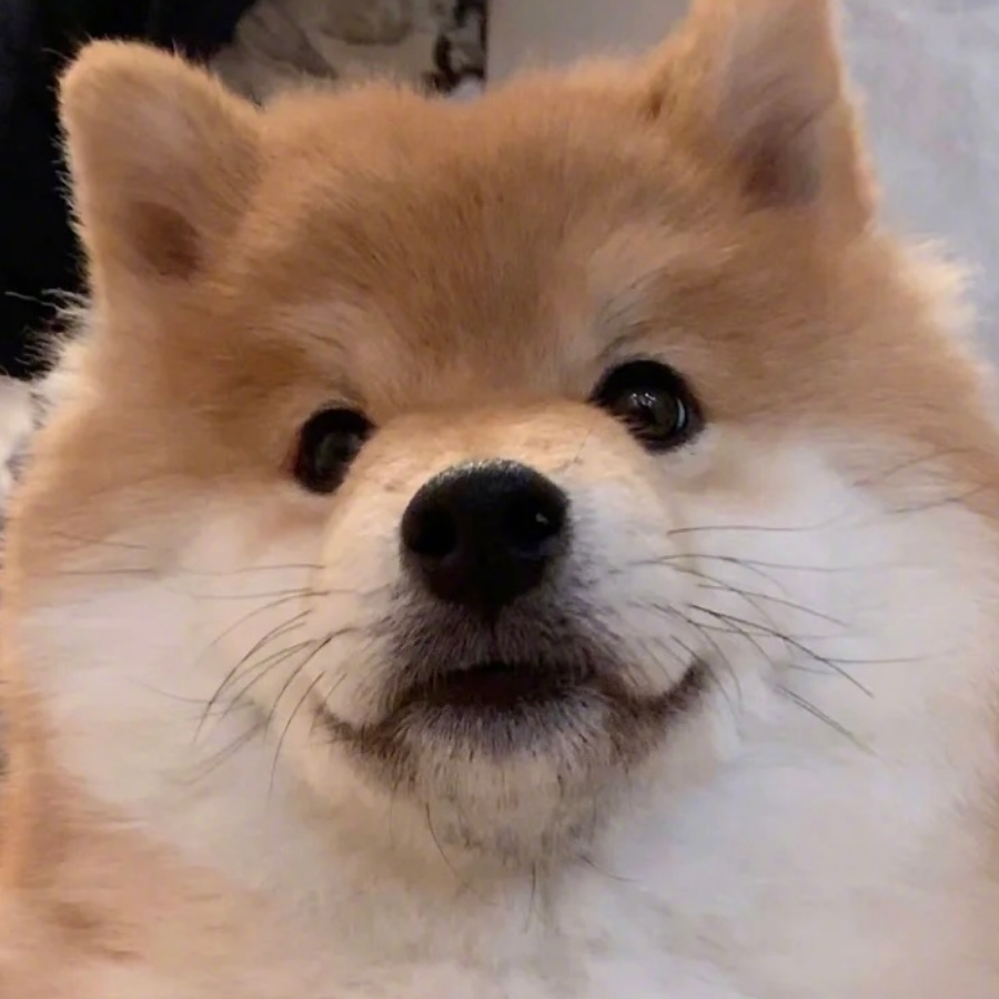 气得直接