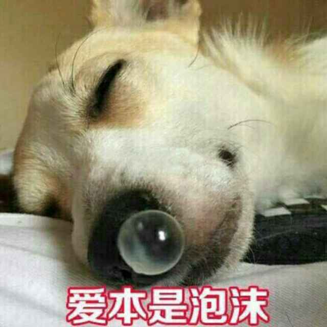 朱古力