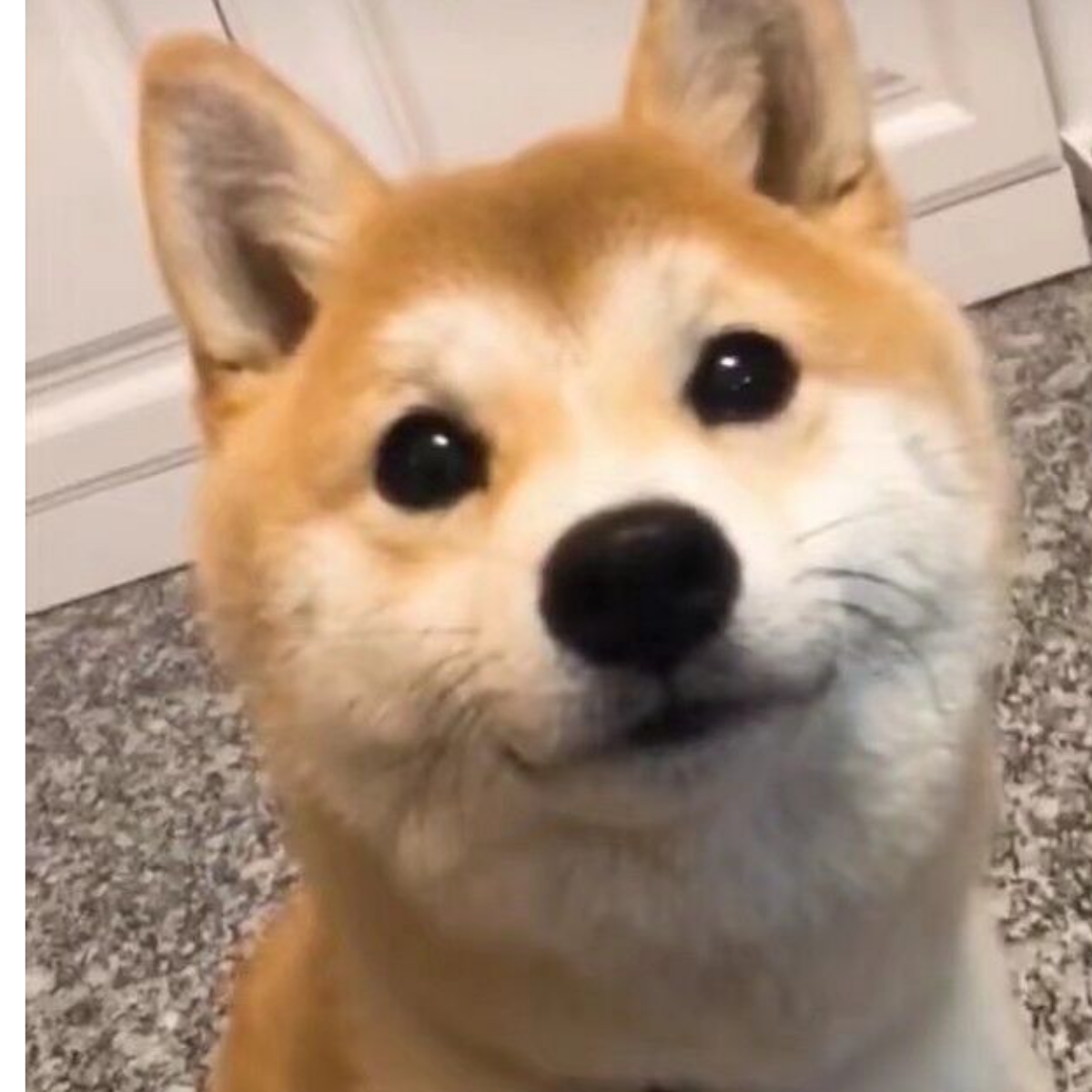 冲冲冲冲冲冲