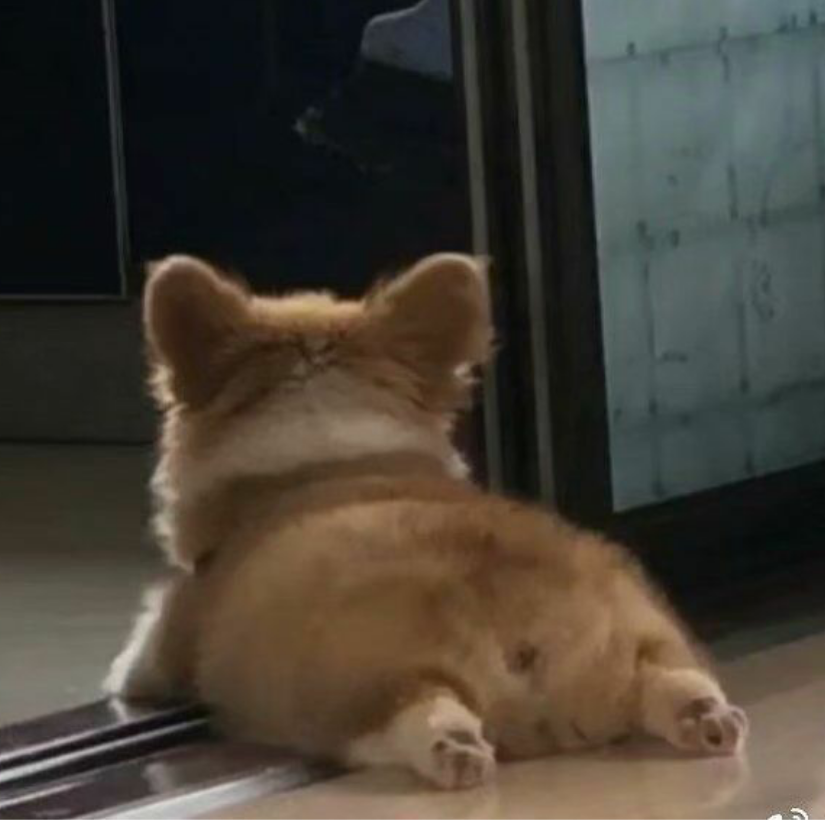 使命必达先生