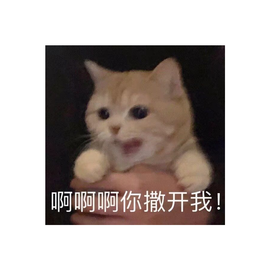 小猪配狗