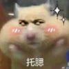我是真地皮
