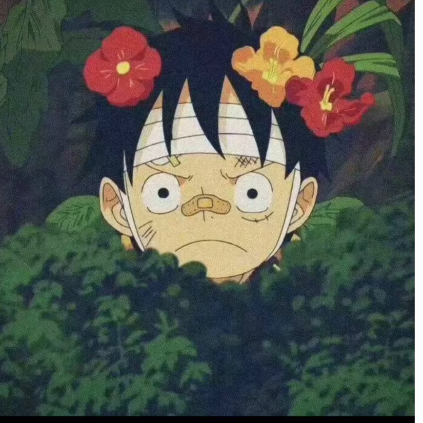 陈十一