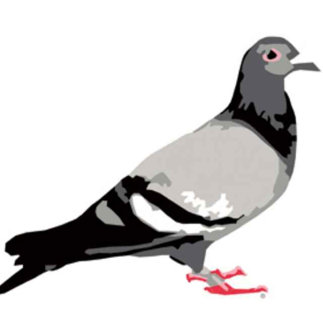 台服怎么充值啊