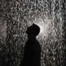 谷风及雨