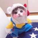 yofee~