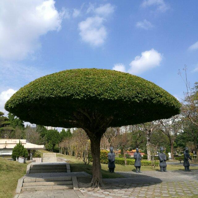 恋秋