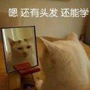 小心地滑