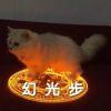 艳阳天的大雪