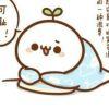 卡尔65