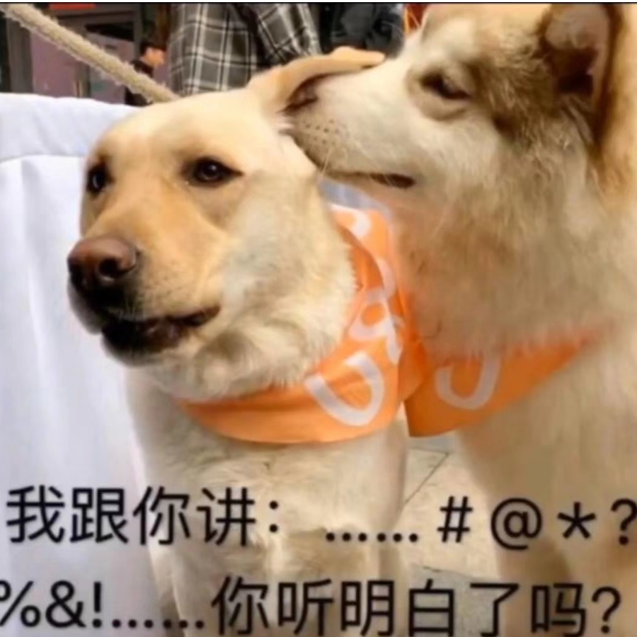 期待下次相遇