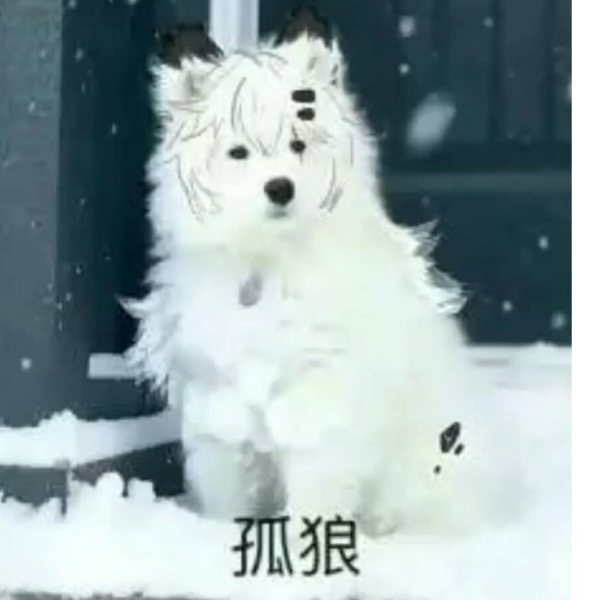 栀墨🅥
