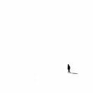 ' . '