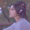 卿为佳人梦