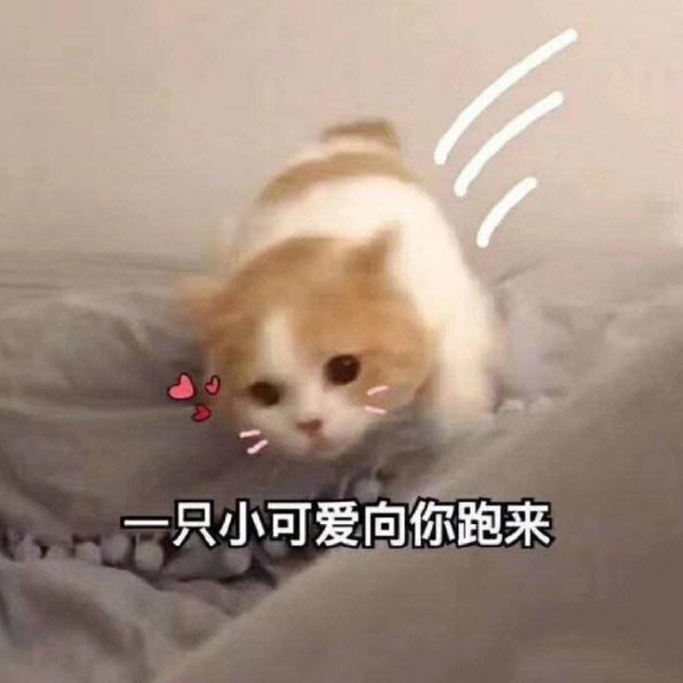 南有缪木