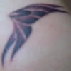 User6134681