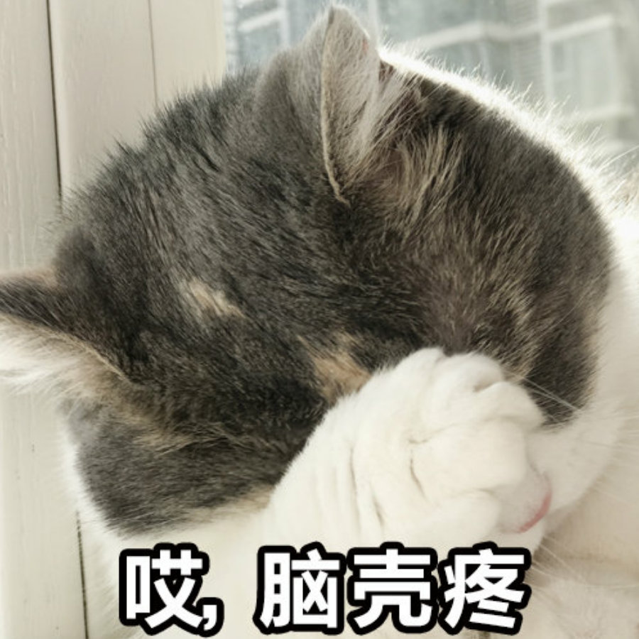 酒玳。