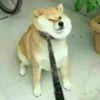 丶X先生```~