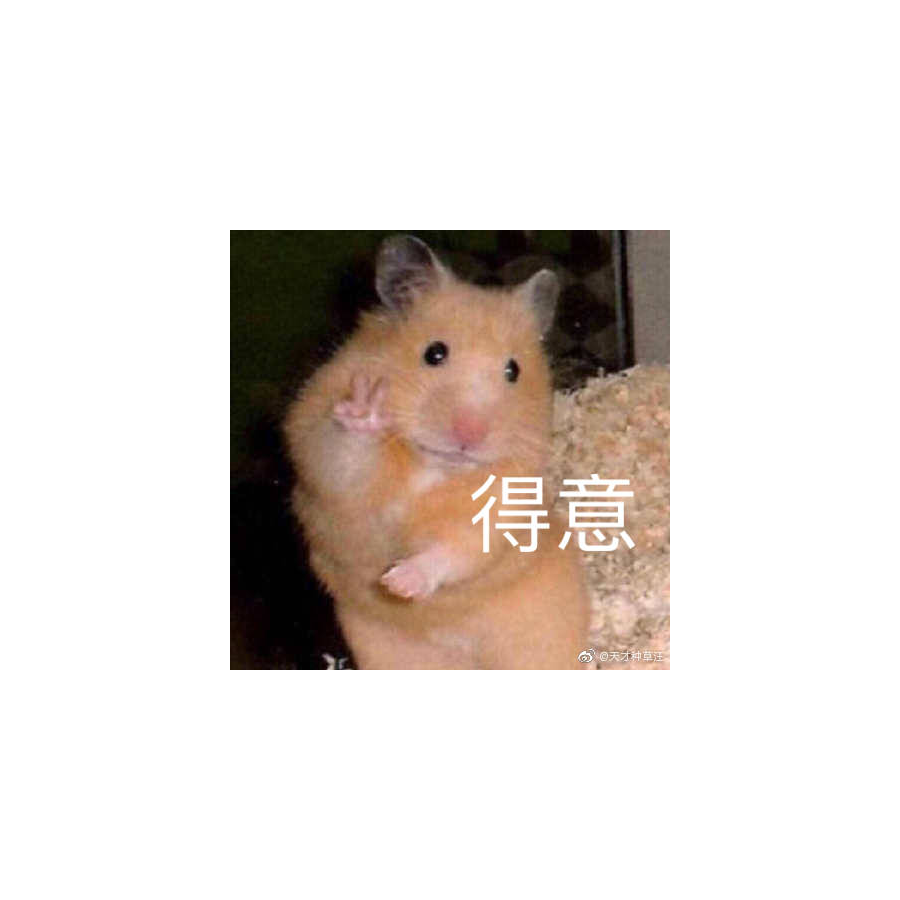 白日梦想家