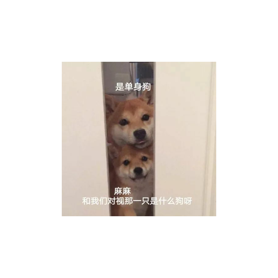 雨点