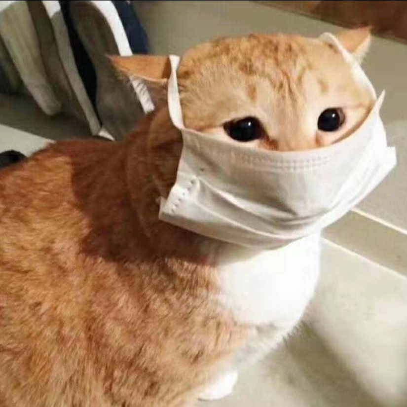 我太南了