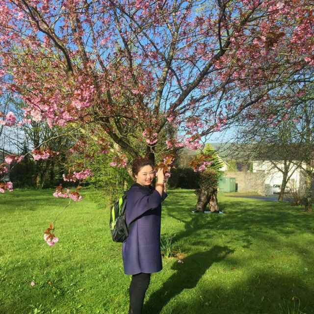 安心修养