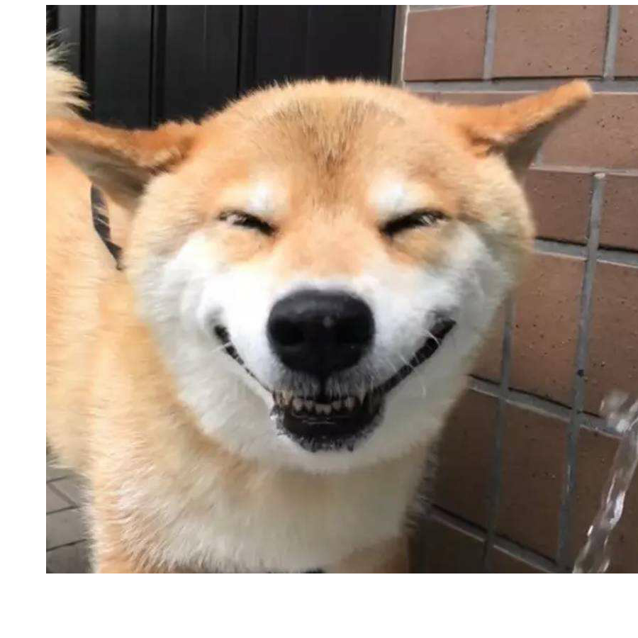 五毛一包