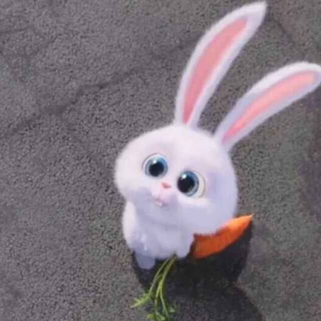 一只悲催的长颈鹿丶
