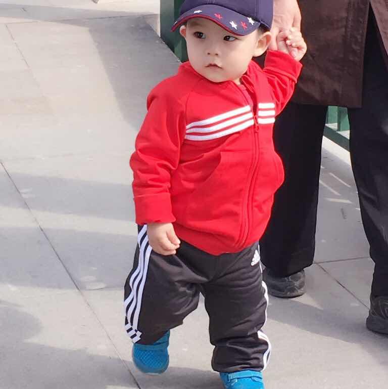 乘着风飞翔
