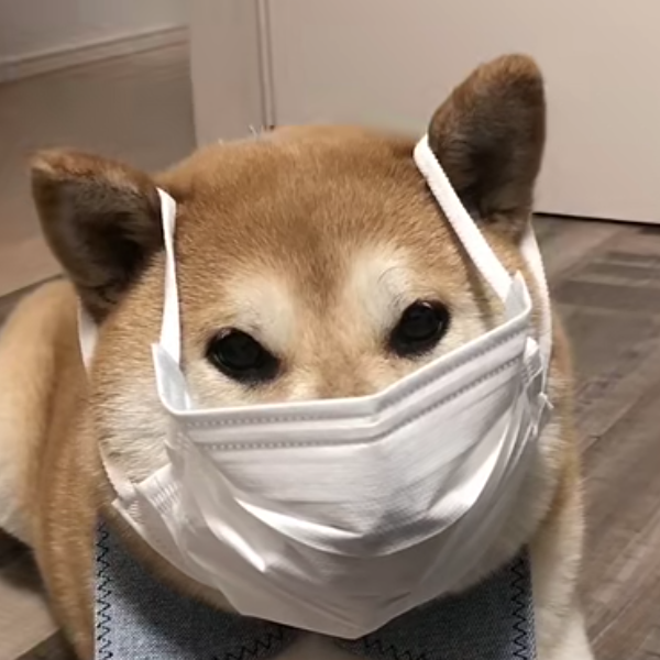 覆灭