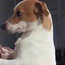 论武功！俗世中不知边个高！