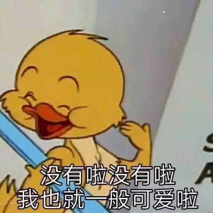 喵喵喵