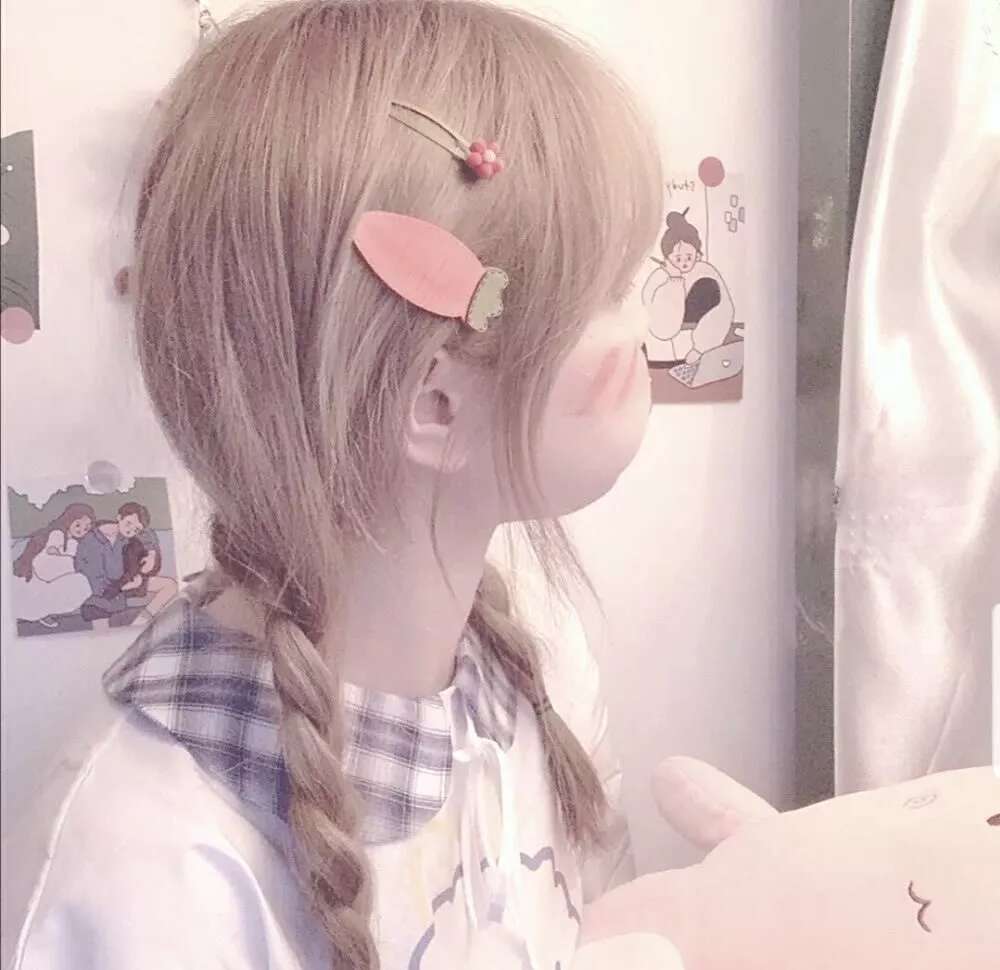 小猪