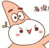 User16282531