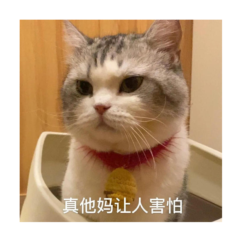 阿巴怪