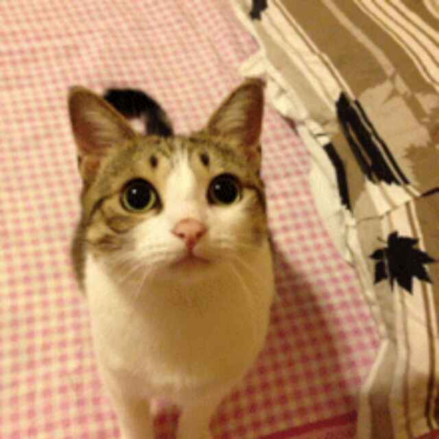 见朕奇迹的时刻